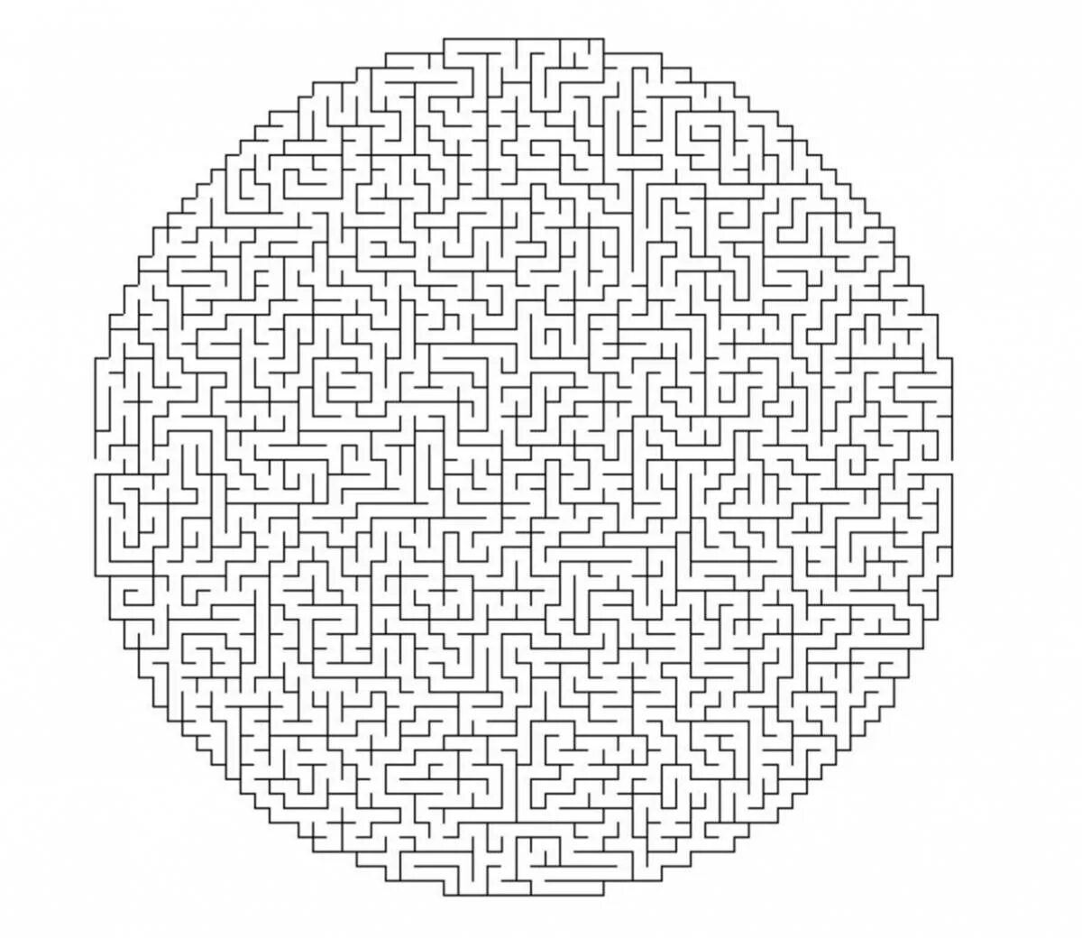 Maze puzzle