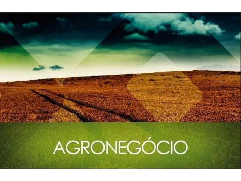 Agronegocio Seedgrain. Happening com