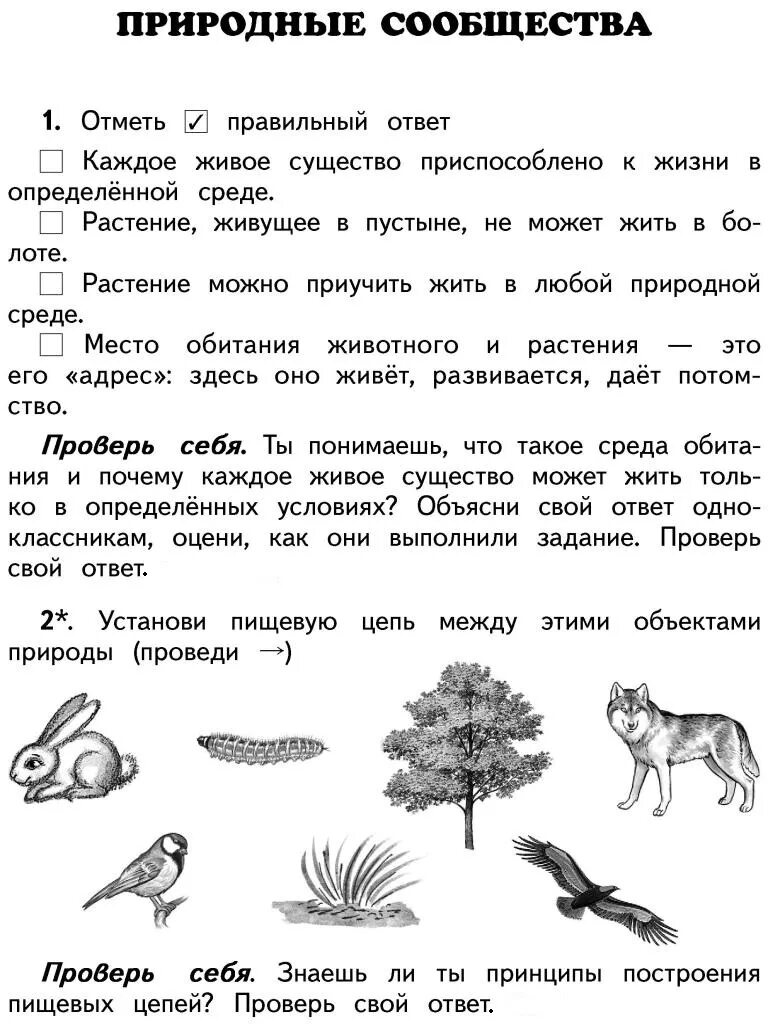 Природные сообщества контрольная работа 5 класс. Природные сообщества. Задания по 4 классу по окружающему миру. Контрольная работа по теме природные сообщества. Контрольная работа по природным сообществам.