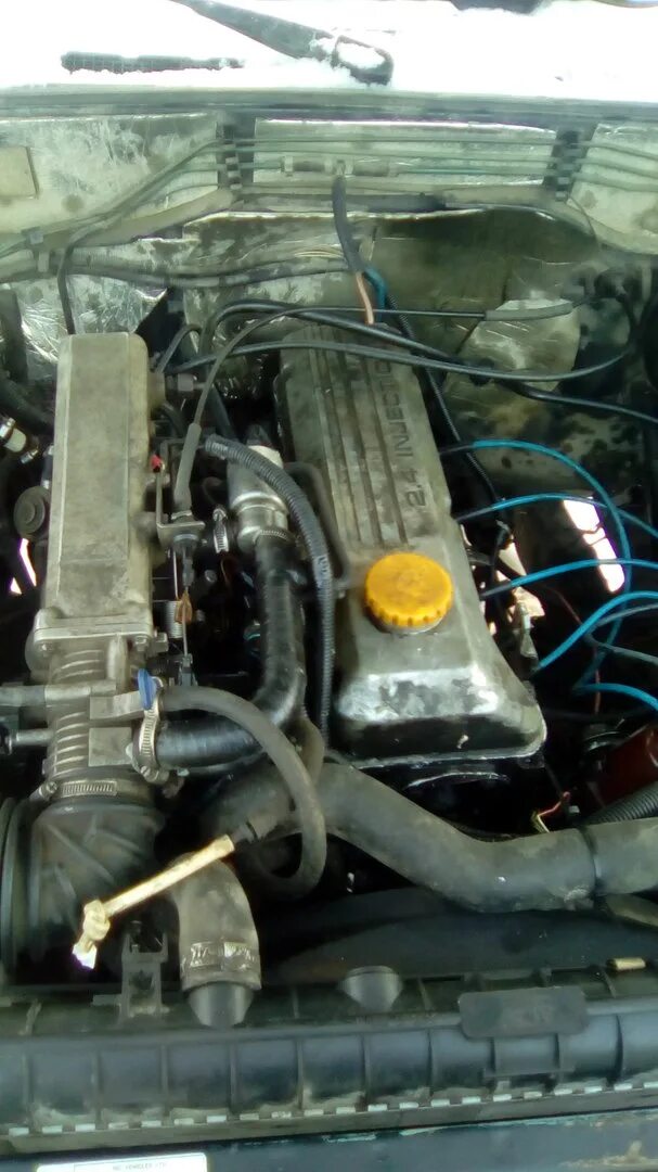 Двигатель c24ne характеристики. Фронтера c24ne. Фронтера c24ne. Масляный насос frontera c24ne. Коленвал двигатель opel c24ne.