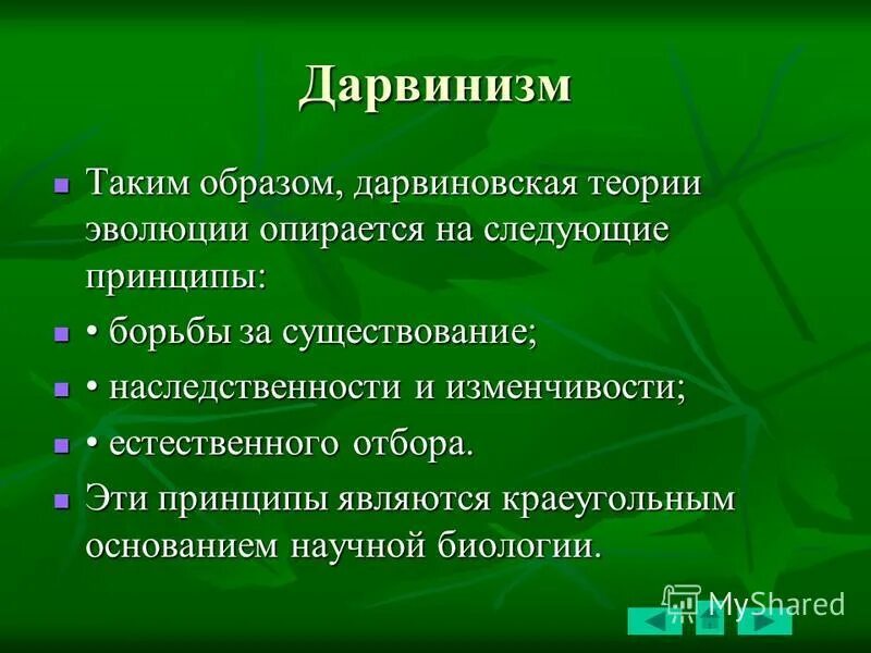 Чарльз дарвин эволюционная теория кратно. Социальный дарвинизм. Чарльз дарвин эволюция. Теория естественного отбора чарльза дарвина. Социальный дарвинизм спенсера.