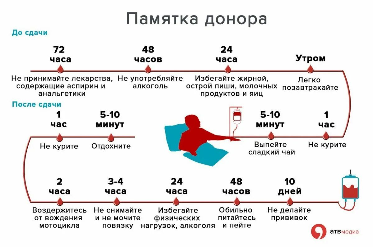 Донор крови антибиотики. Какие требования для сдачи крови донором. Чтобы быть донором крови условия сдачи крови. Нормы сдачи крови донорами. Правила сдачи крови донорам женщинам.