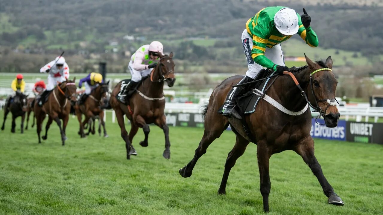 Наскар 90. Same race. Квят леклер феррари. Швейцарка. Grand national horse race.