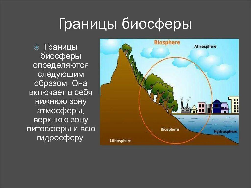 2 биосфера включает. Литосфера гидросфера атмосфера Биосфера. Географическая оболочка земли литосфера гидросфера. Биосфера оболочка земли 5 класс география. Биосфера Живая оболочка земли 5 класс.