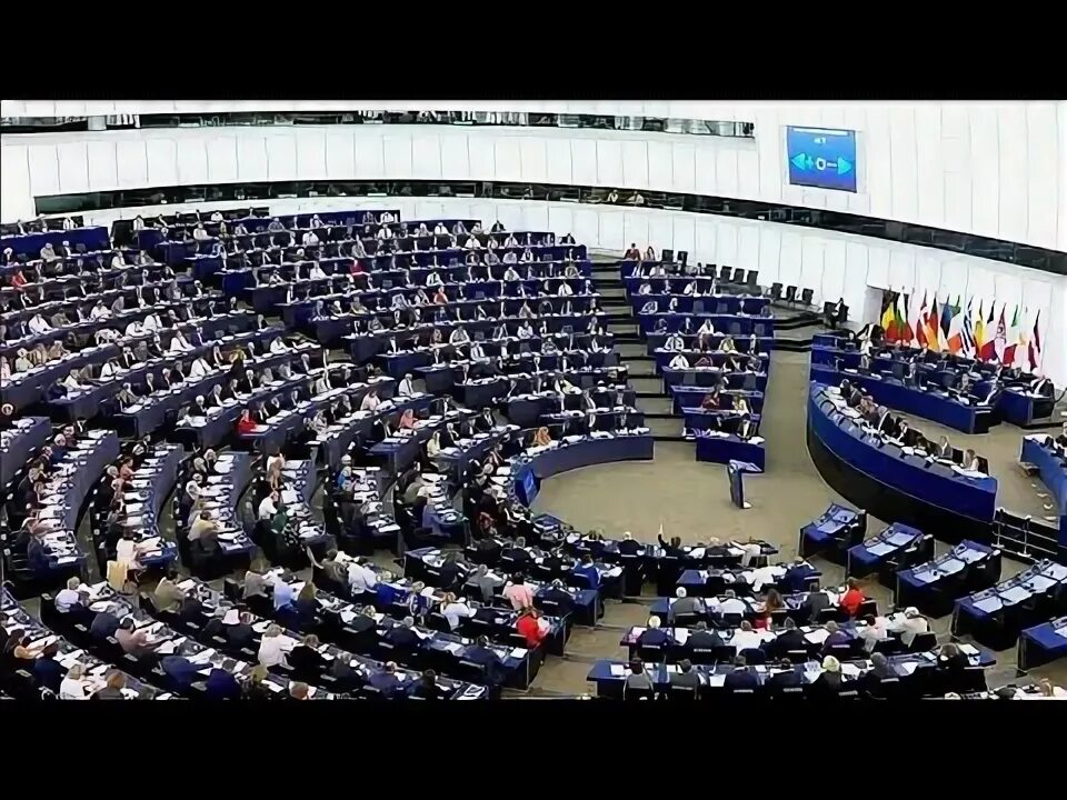 Выборы в европарламент в венгрии. Выборы в европарламент. Выборы в европейский парламент. Выборы в европарламент 2014. Парламент европы.