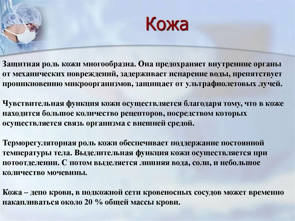 Сколько литров крови в человеке у мужчин. Кожа – это «склад», где накапливается около 1 литра крови.. Защитная функция кожи в ее частности реализуется благодаря её. Кожа депо воды. От чего предохраняет кожа.