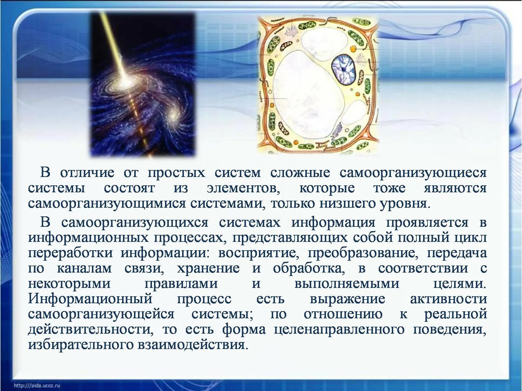 Общество является самоорганизующейся системой