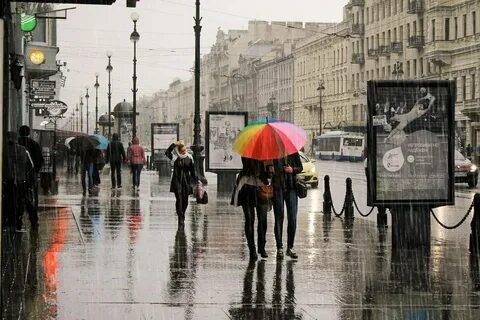 Под петербургским дождем