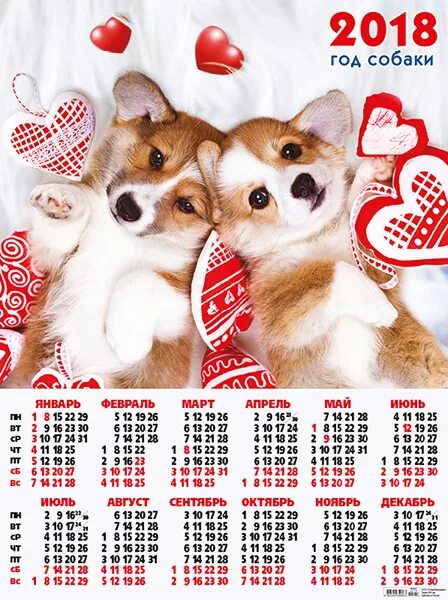 2018 Год. Календарь 2018 года. Год собаки 2018. Календарь год собаки. 5 собак январь февраль март апрель