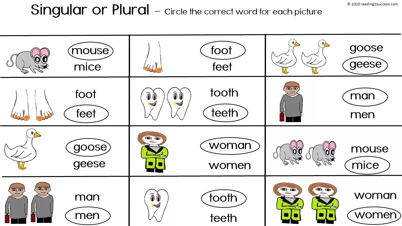 Английское слово man. Singular and plural Nouns исключения. Irregular plurals таблица. Singular and plural Nouns Irregular. Irregular plurals для детей.