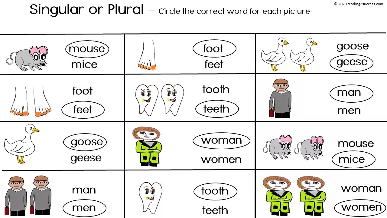 Man plural. Irregular plurals таблица. irregular plural nouns. singular and plural nouns irregular. irregular plurals для детей.