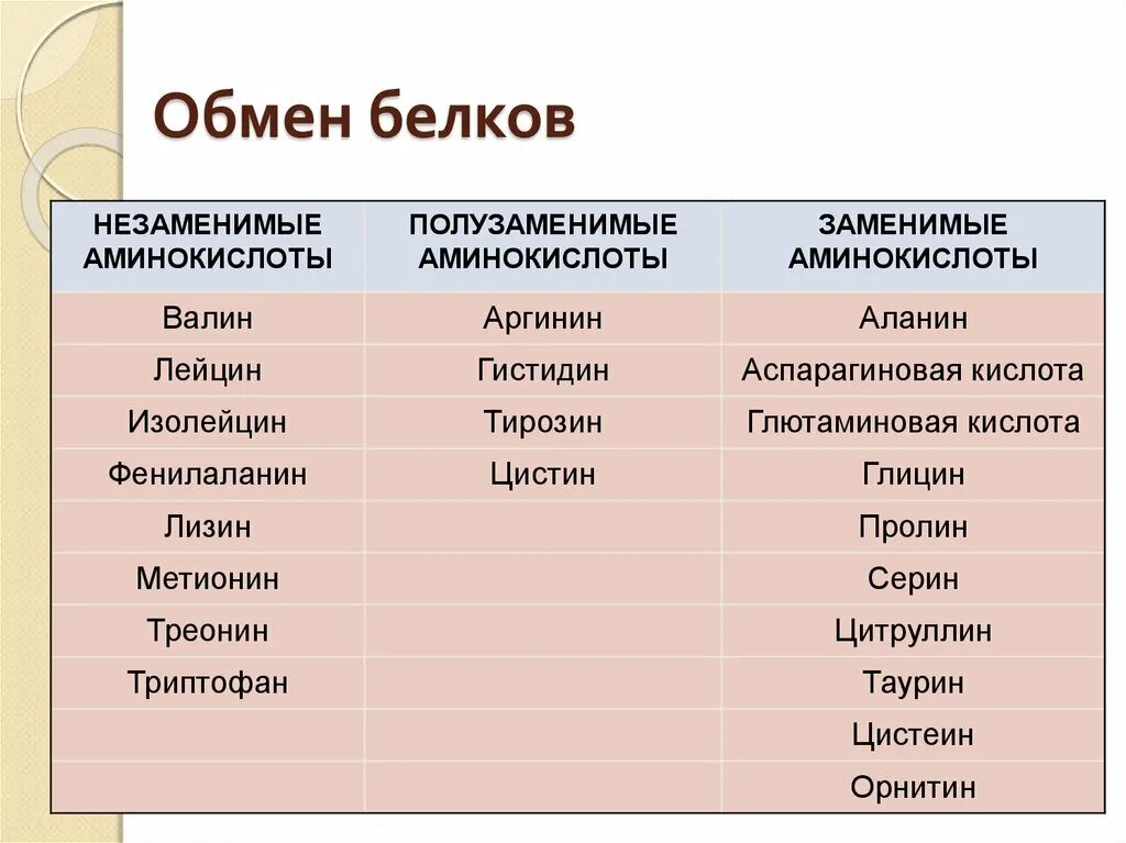 Обмен белков биология. Обмен белков. Обмен белков кратко. Обмен белков 8 класс. Обмен белков физиология кратко.