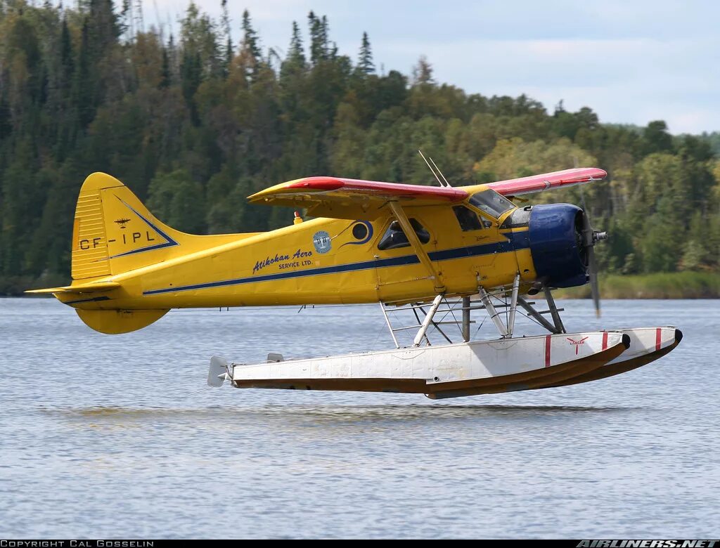Dhc 1 1 2. De havilland canada dhc-2 beaver гидроплан. dhc-2 turbo beaver. de havilland canada dhc2. de havilland dhc-2.