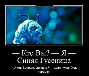 Синий цвет прикол