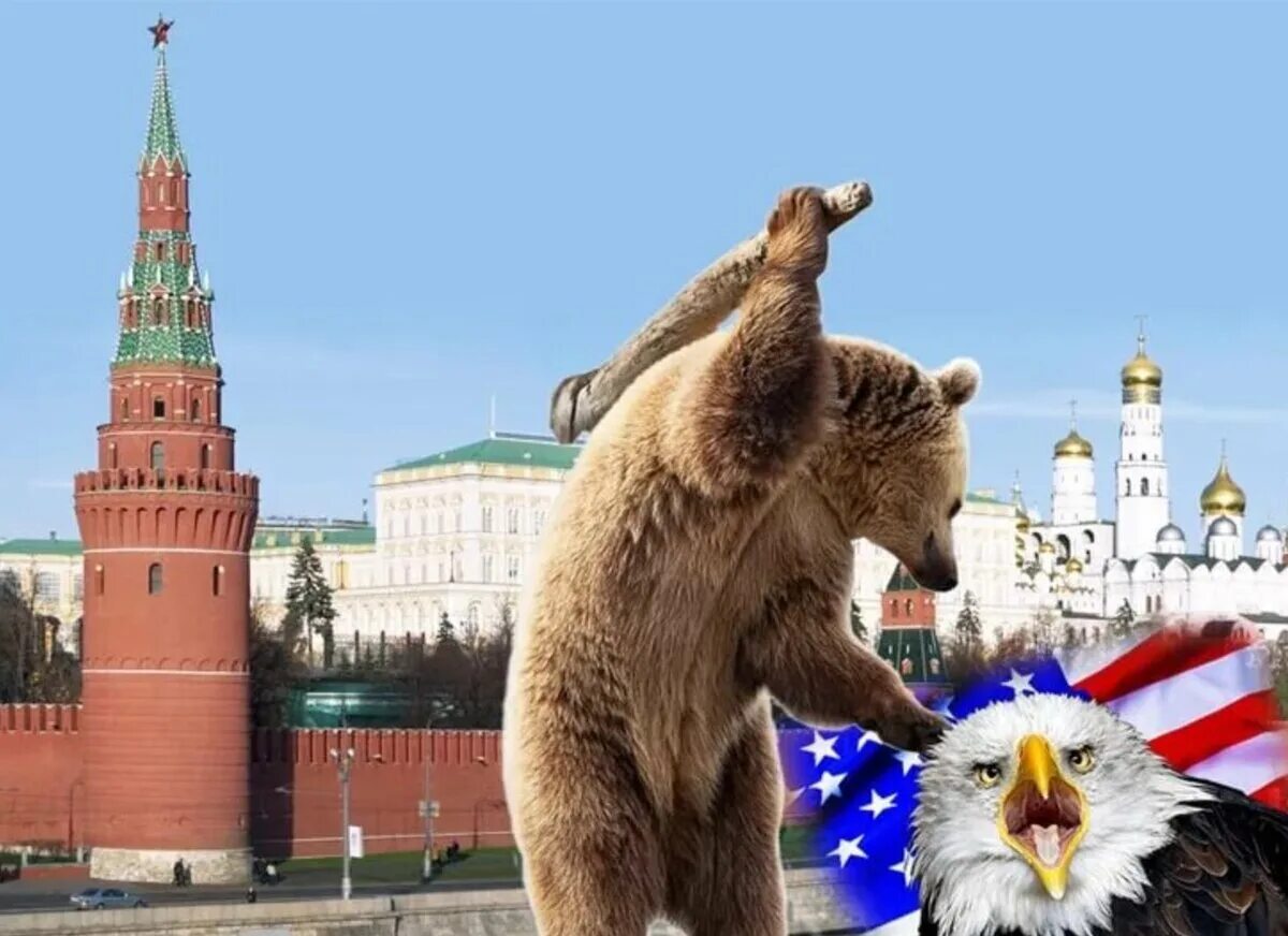 Медведь Россия. Флаг России с медведем. Медведь символ России. Россия Кремль медведь. Хочу про россию