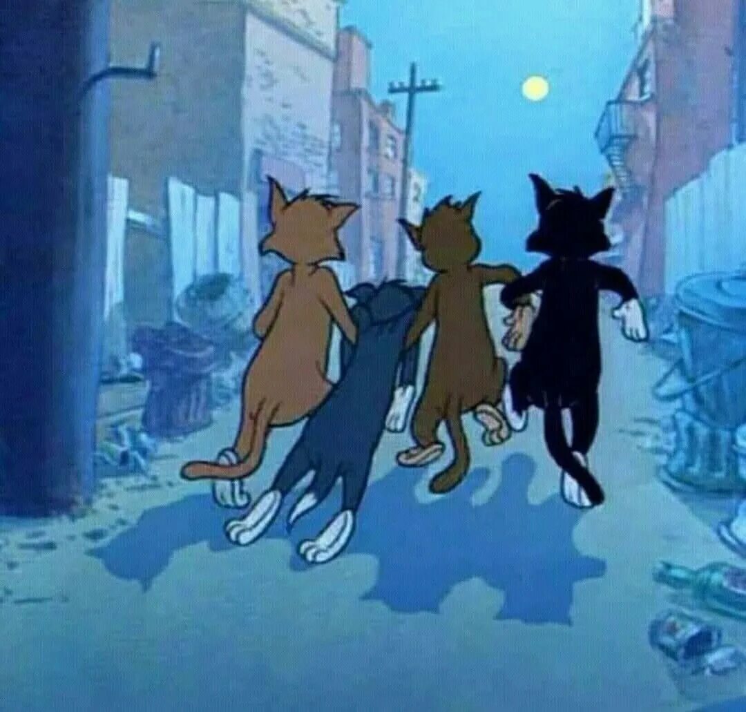 Три том. Том и джерри пьяные коты. пьяный кот том. настоящие друзья не бросают. друг друга в беде не бросит.