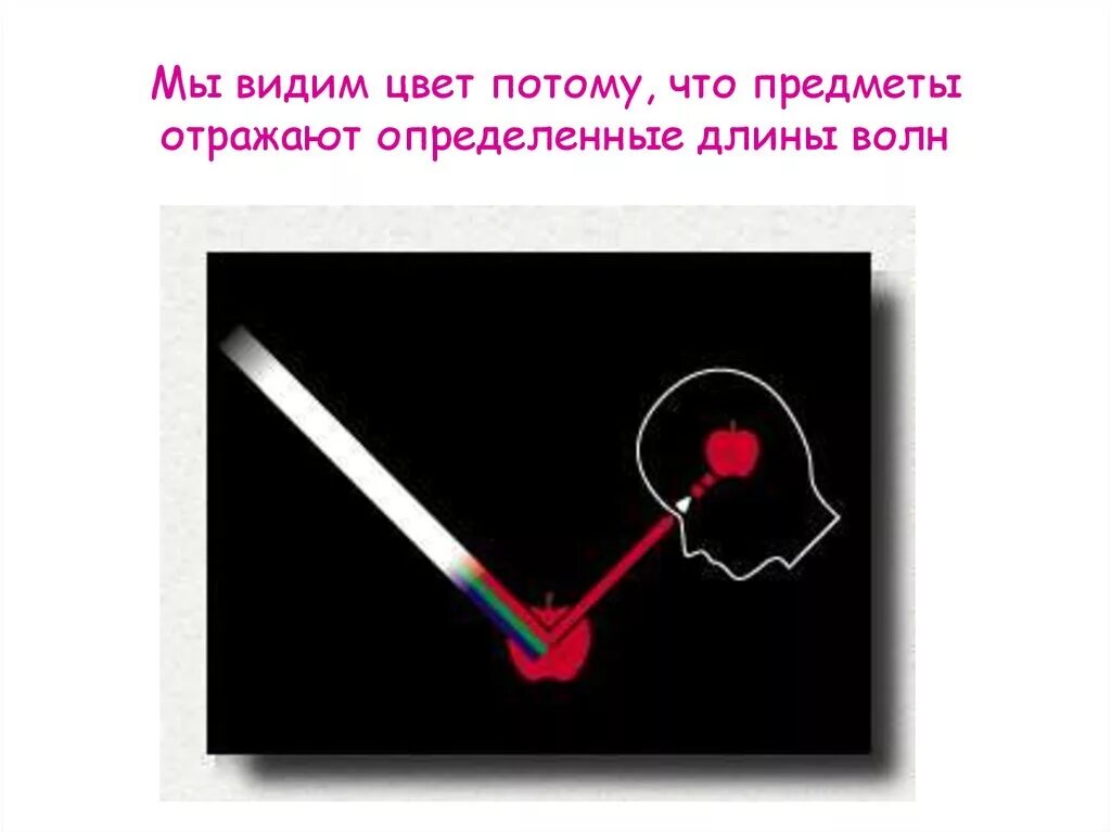 Благодаря чему мы видим. Как мы видим цвета. Как мы видим цвета физика. Почему мы видим цвета. Почему мы видим предметы цветными.