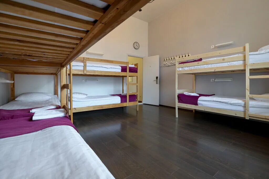 питер хостел скандинавия. санкт-петербург литейный проспект 55а скандинавия. хостел скандинавия санкт-петербург вывеска. питер хостел скандинавия. , 12.