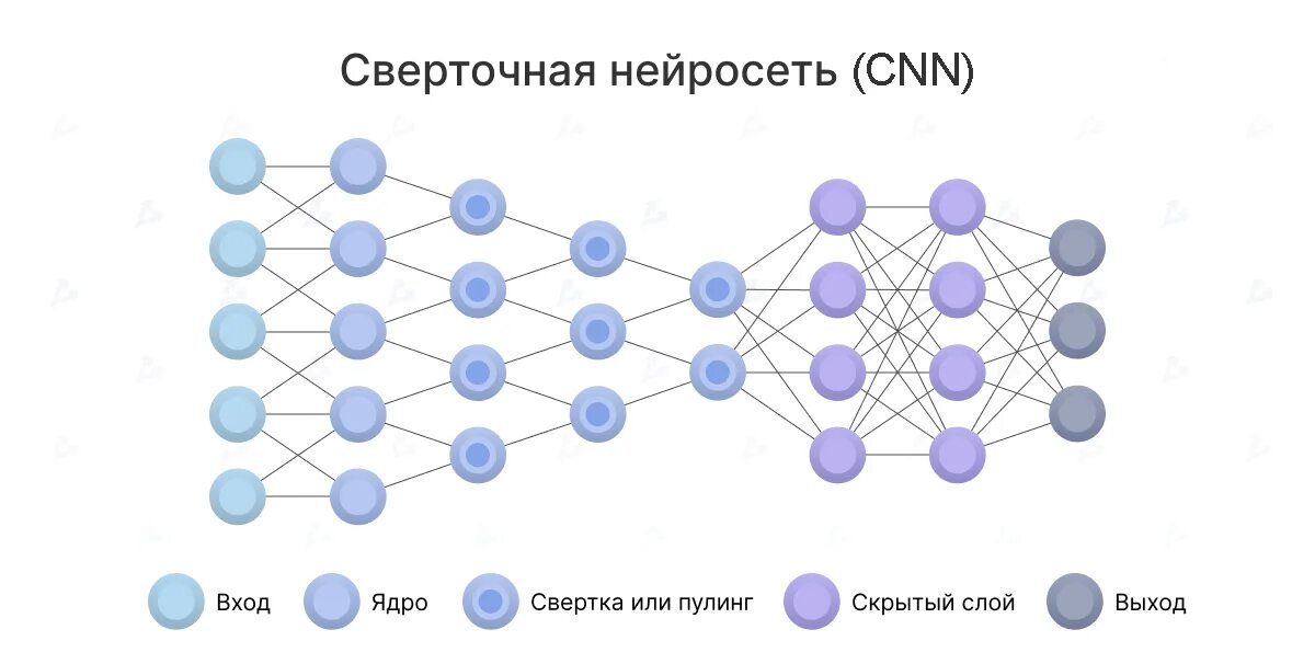 Модели сверточных нейронных сетей. Нейронные сети архитектура нейронных сетей. Свёрточная нейронная сеть. Сверточная нейронная сеть архитектура. Сверточная нейросеть сеть схема нейронов.