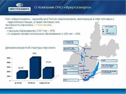 Сетевая компания иркут