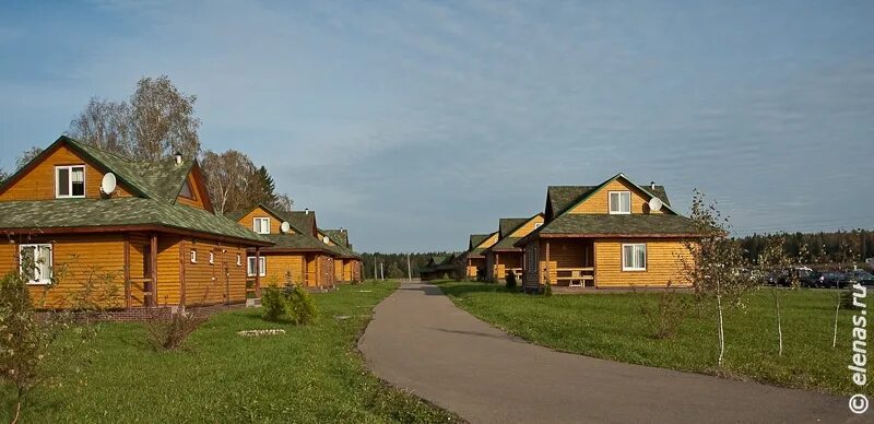 Кафе пеликан парк птиц. Кафе пеликан парк птиц воробьи. форестино.