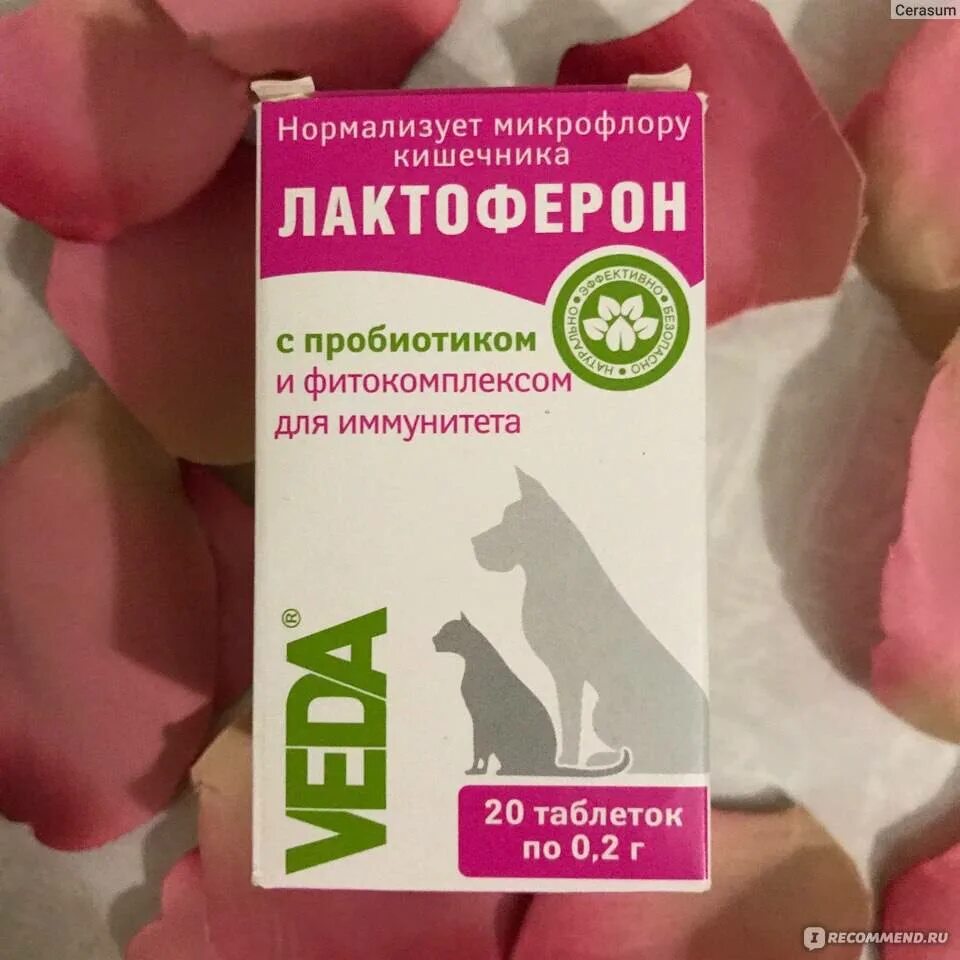 Пребиотики для восстановления микрофлоры кишечника. Таблетки для нормализации флоры кишечника. средства для нормализации микрофлоры кишечника. таблетки для кишечника для микрофлоры кишечника. препараты для нормализации микрофлоры желудка и кишечника.