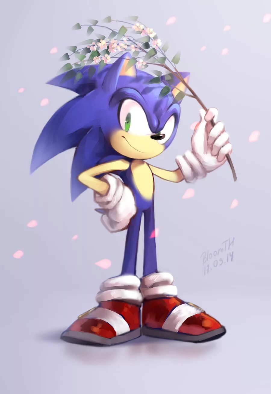 Соник мило. Sonic ёж соник. ёж соник арт. ежик соник икс. ежик hedgehog sonic.