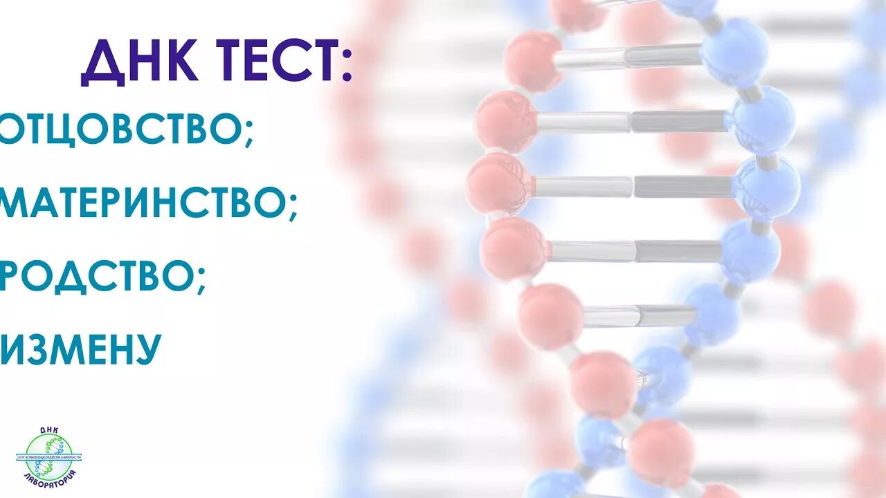 Тест на отцовство при беременности. ДНК тест. Статистика тестов на отцовство. ДНК на отцовство. ДНК тест на отцовство реклама.