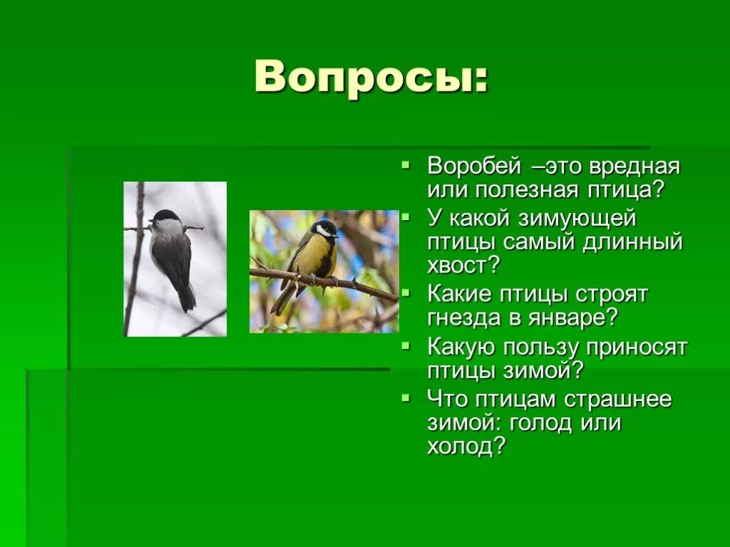 Какую пользу приносят птицы. Какую пользу приносят птицы человеку. Какие птицы вредный. Полезные и вредные птицы. Польза приносимая птицами