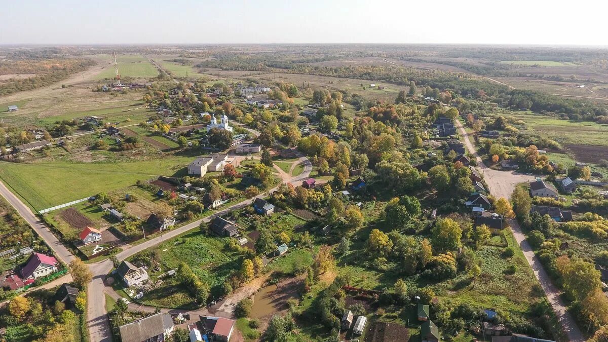 Деревня Подгощи Новгородская область. Деревня Бор Новгородская область Шимский район. Деревня Рушиново Новгородская область. Подгощи Шимский район. Новгородская область 2019