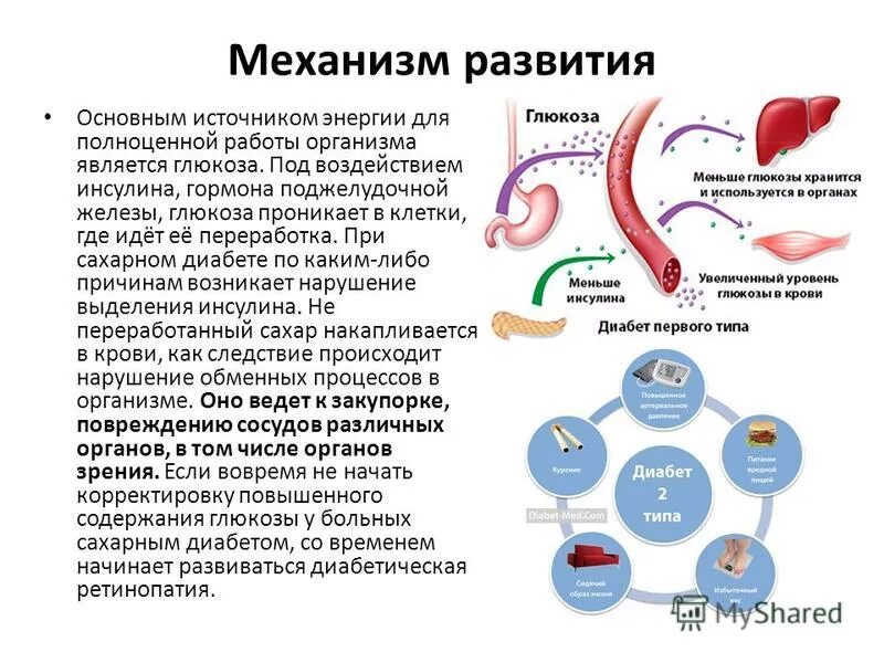 Тип развития заболевания. Механизм действия сахарного диабета 1 типа. Механизм возникновения сахарного диабета 1 типа. Механизм образование сахарного диабета 2 типа. Инсулиннезависимый сахарный диабет механизм.