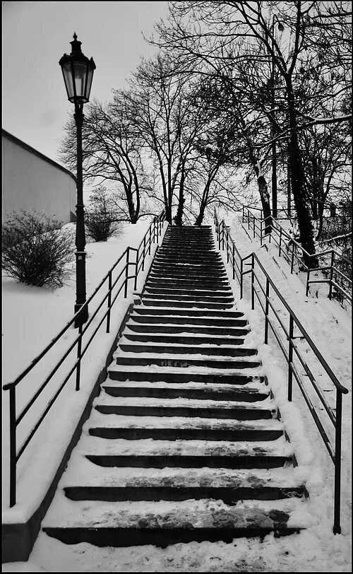Зимние ступени. Зимний ступеньки. Зима ступеньки. Зимняя лестница. Фотосессия на лестнице зимой.