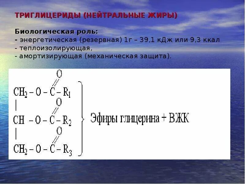 Жиры кдж г. Триглицериды строение биохимия. Общая схема строения триглицеридов. Триглицерид строение. Строение нейтральных жиров.