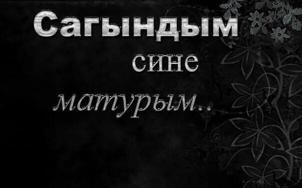 Сагындым сине текст. Сагындым. Мин сине сагындым картинки. Сагындым открытки. Сагындым сине открытки.