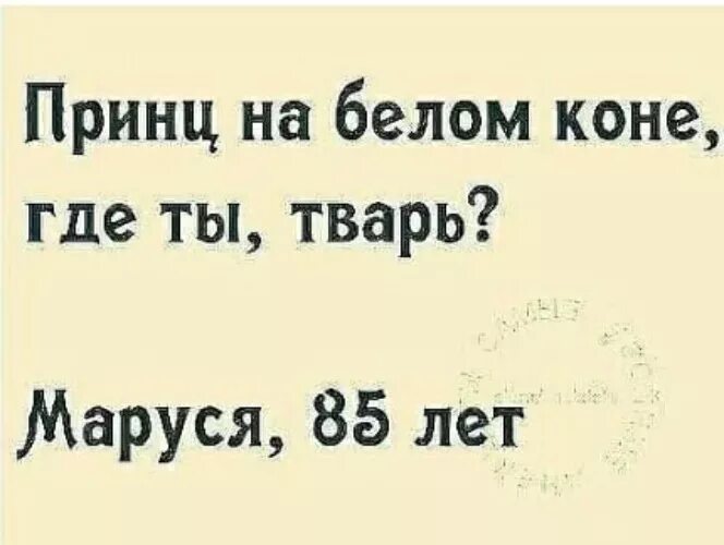 Полно где т. Принц на белом коне где тварь. Принц на белом коне прикол где ты тварь. Картинка принц на белом коне где ты тварь. Принц на белом коне где ты.