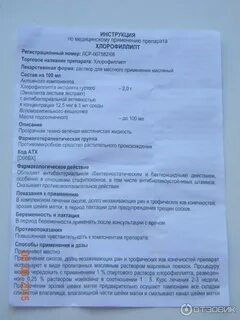 Хлорофиллипт масляный применение детям