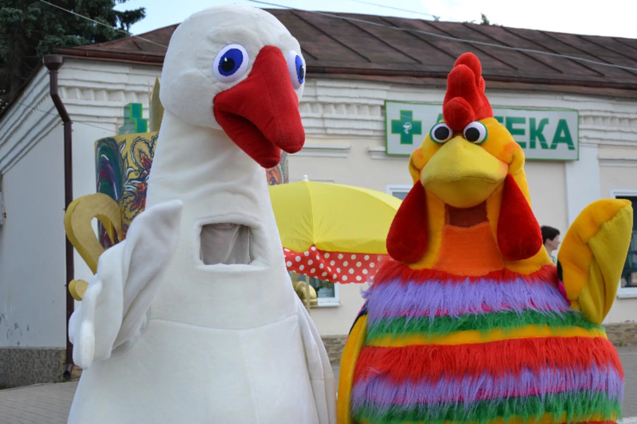 Таруса петухи гуси. Петухи и гуси в городе тарусе фестиваль. гусь и петух. петухи и гуси в городе тарусе 2025. фестиваль петухи и гуси в городе тарусе 2025.