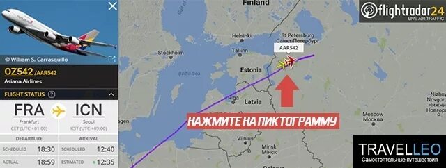 Полет самолета определение. Флайтрадар24. куда летит самолет. слежение по карте полета самолетов. где находится самолет.