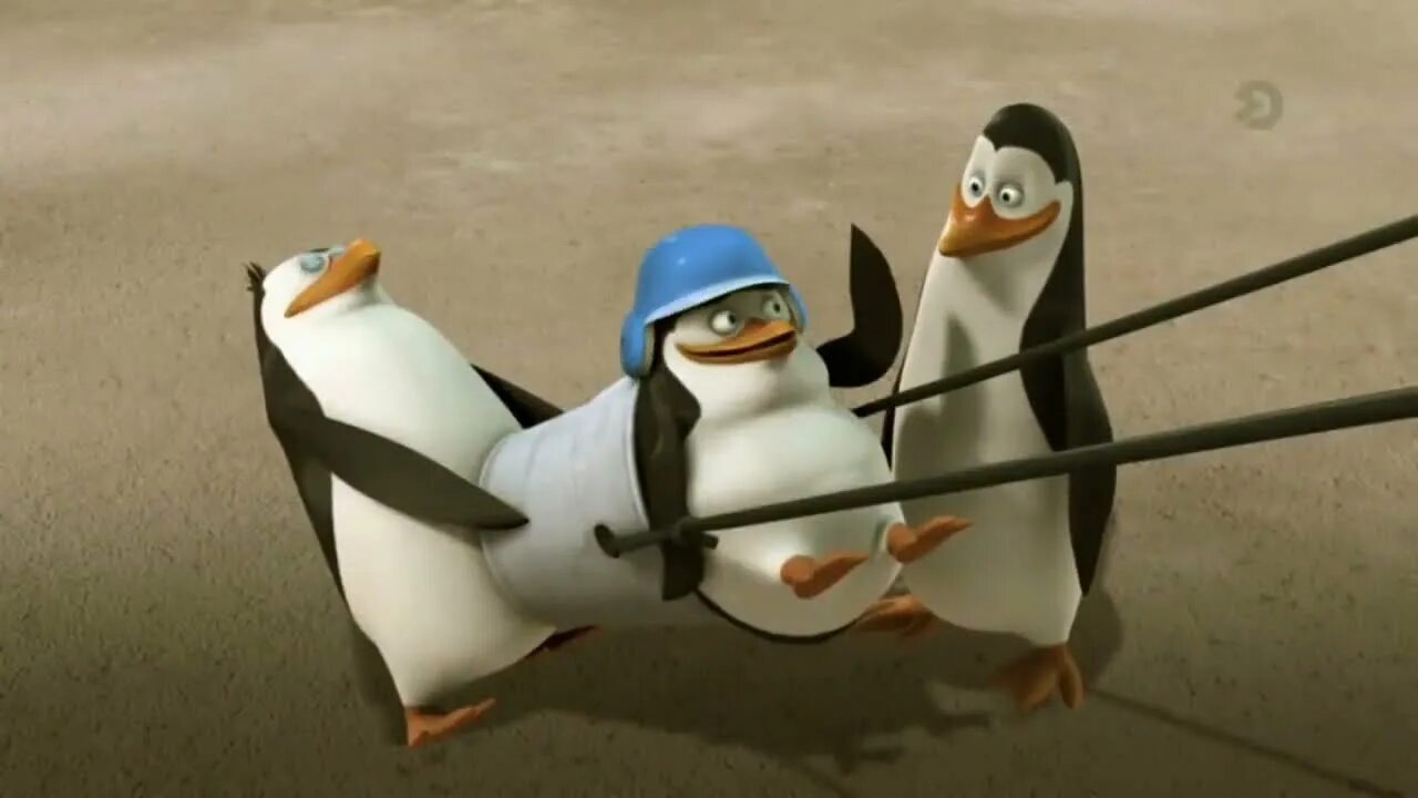 Пингвины мадагаскара шкипер. Шкипер ковальски рико и рядовой. Пингвины мадагаскара шкипер. Пингвины шкипер ковальски рико. Пингвины шкипер ковальски рико.