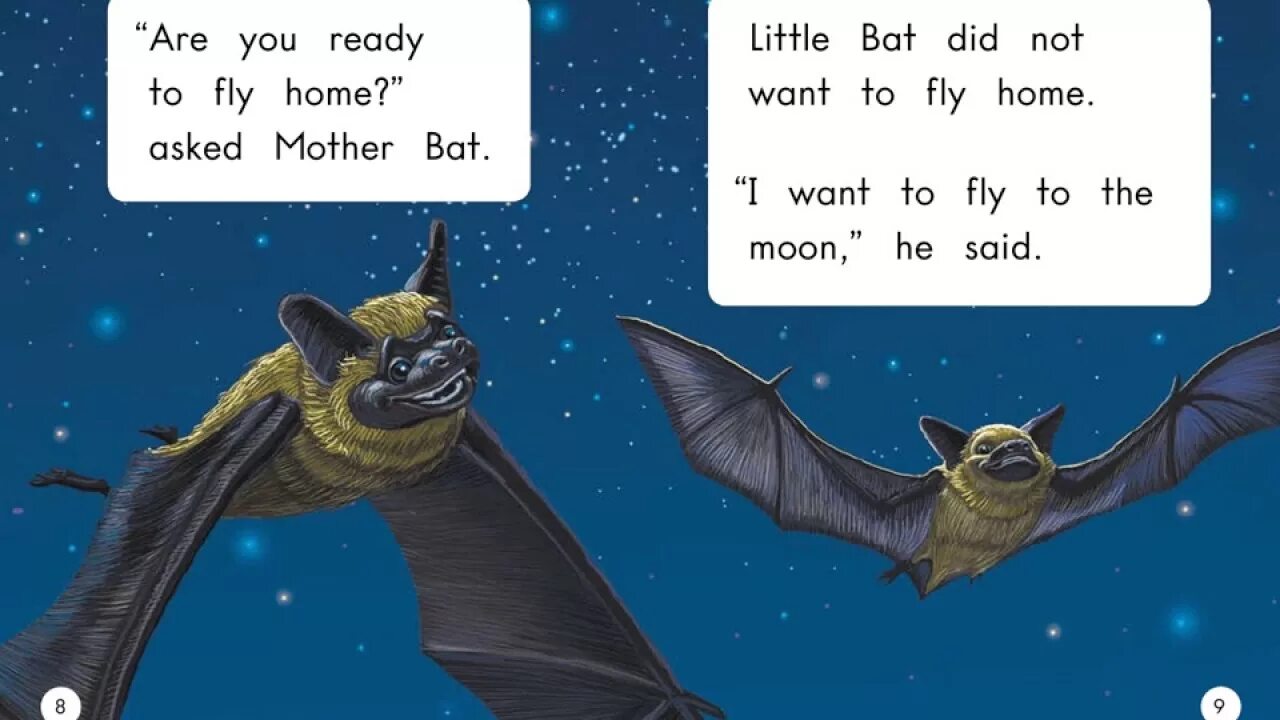 There are various myths surrounding bats those. There are various myths surrounding bats those