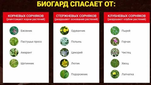 Биогард инструкция