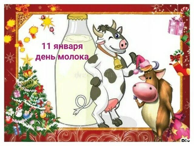 11 января 2025 год