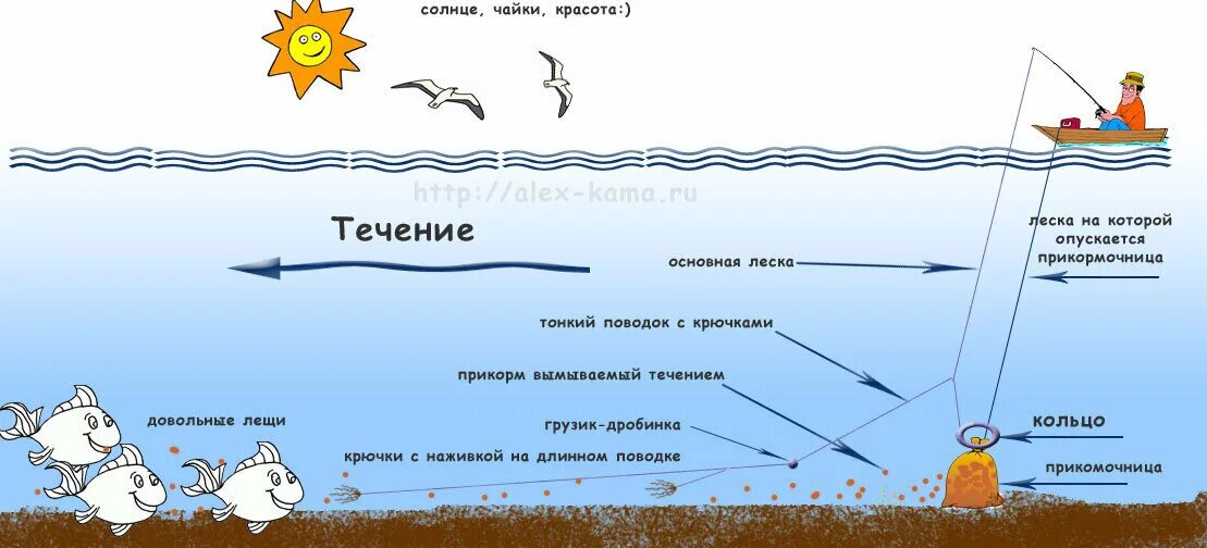 Можно ли при ловле. Схема снасти для ловли леща. Ловля леща с лодки на течении на кольцо. Снасть для ловли леща на кольцо. Монтаж снасти на леща с лодки.