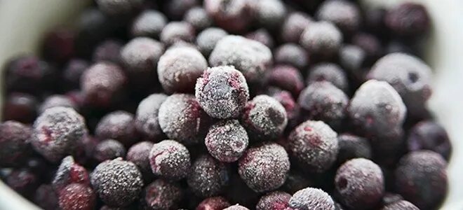 Как заготовить иргу на зиму. Ирга зимой. ирга замороженная 400г. ирга замороженная фото. ирга как заготовить на зиму.