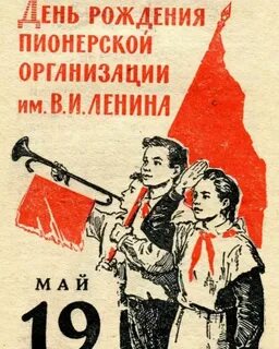19 мая день