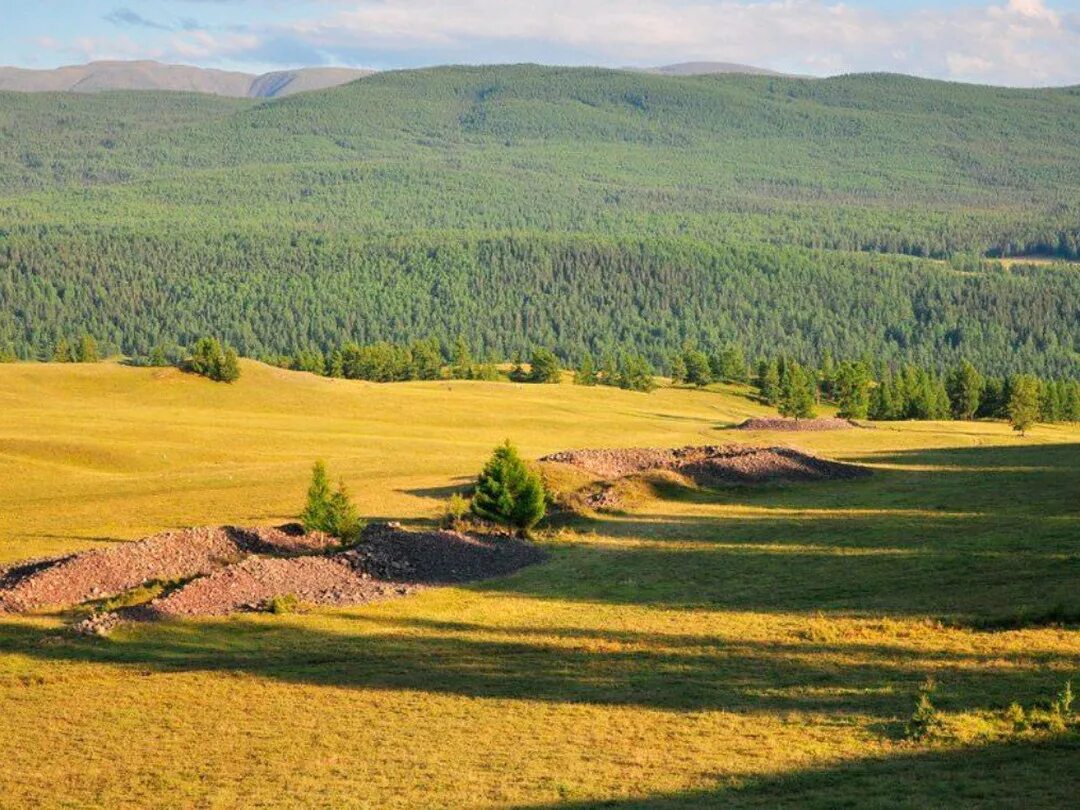 Пазырыкские Курганы горный Алтай. Пазырыкские Курганы на Алтае. Урочище Пазырык Алтай горный. Пазырыкские Курганы горный Алтай находки.