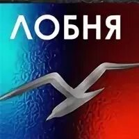 Моя лобня