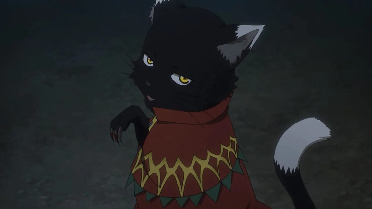 Сумеречный кот. Гранкрест аниме кот. cat kingdom.