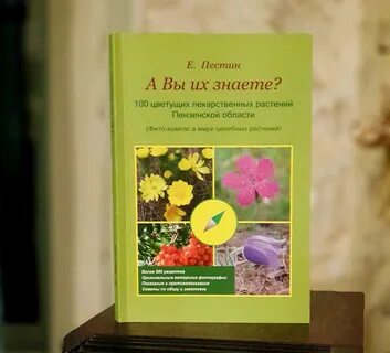 Мир целебных трав
