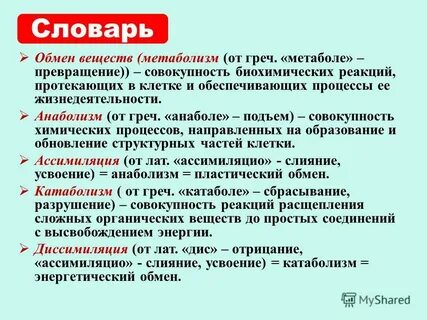 Энергетический обмен это совокупность химических реакций